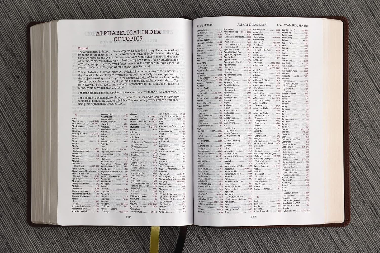 Nasb, Thompson Chain-Reference Bible, Leathersoft, Brown, 1995 Text, Red Letter, Comfort Print, (Hardcover)
