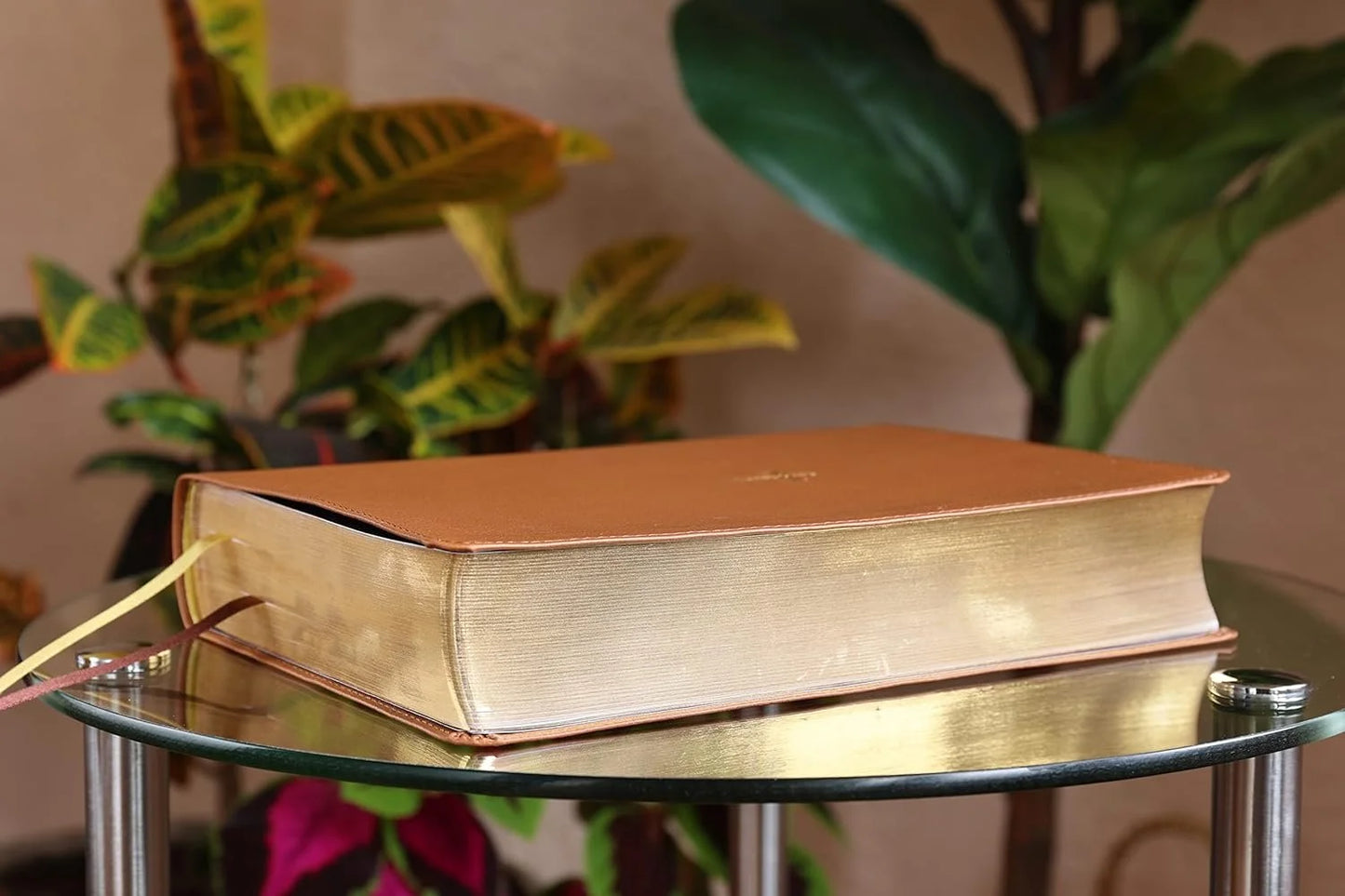 Nasb, Thompson Chain-Reference Bible, Leathersoft, Brown, 1995 Text, Red Letter, Comfort Print, (Hardcover)