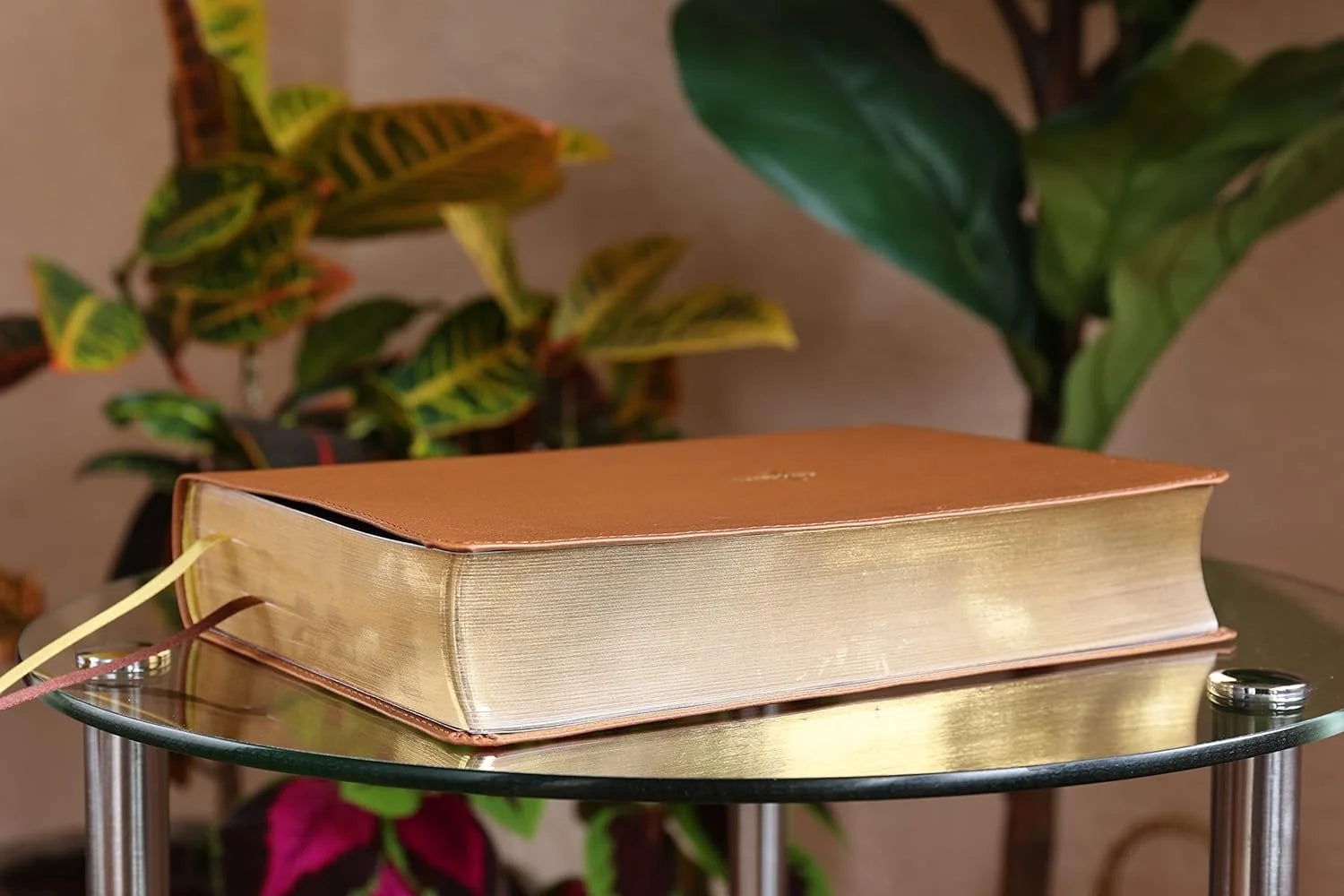 Nasb, Thompson Chain-Reference Bible, Leathersoft, Brown, 1995 Text, Red Letter, Comfort Print, (Hardcover)